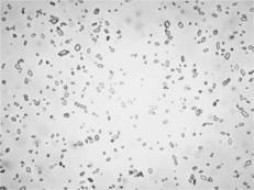product-231-173 product-231-173